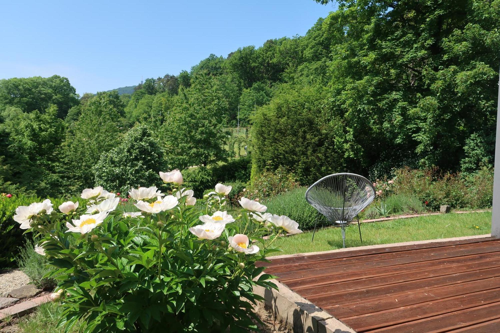Apartment Im Rosentraum Mit Privater Terasse Baden-Baden Exteriér fotografie